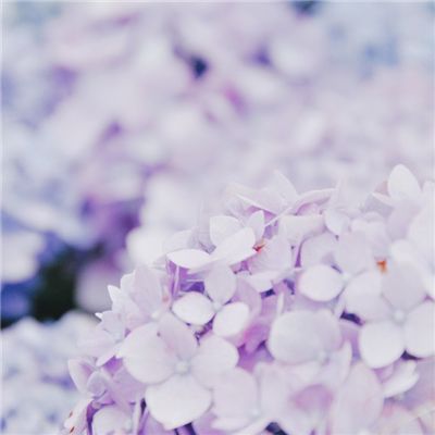仙灵逍遥内购破解版下载